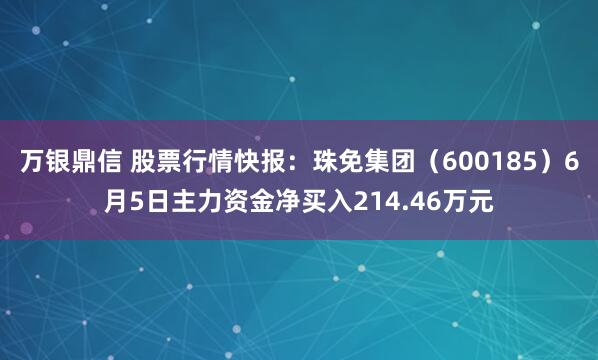 万银鼎信 股票行情快报：珠免集团（600185）6月5日主力资金净买入214.46万元