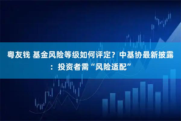 粤友钱 基金风险等级如何评定？中基协最新披露：投资者需“风险适配”