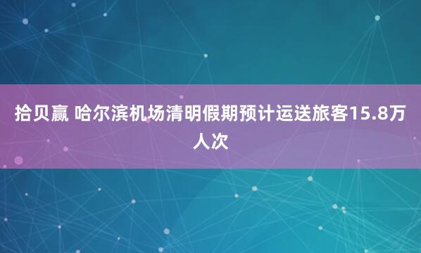 拾贝赢 哈尔滨机场清明假期预计运送旅客15.8万人次